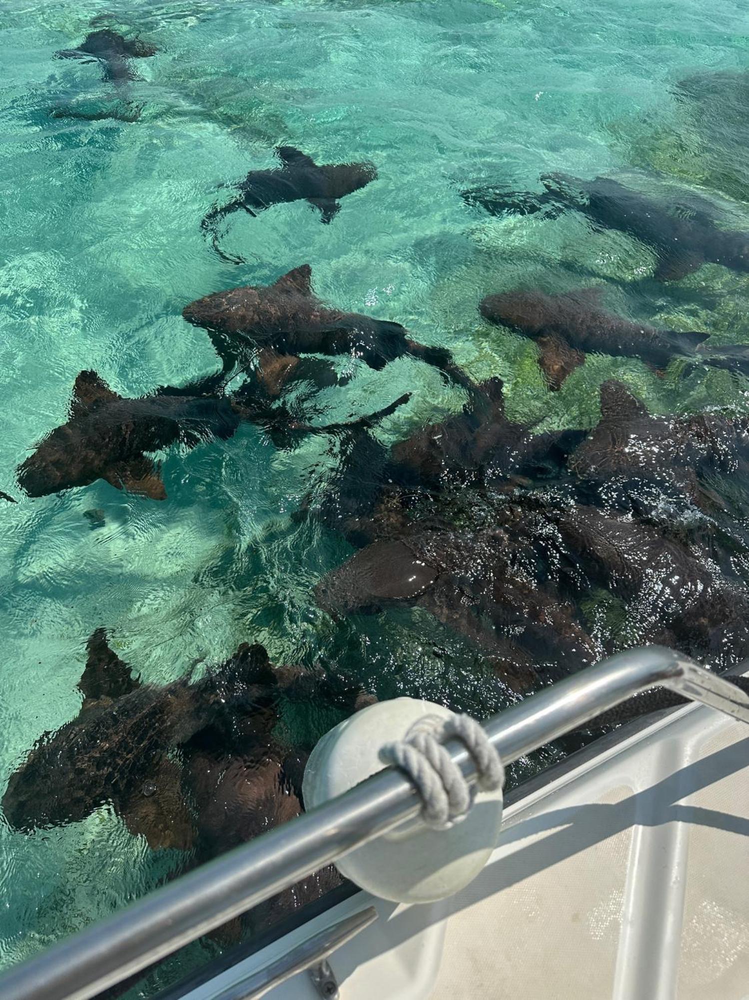 The Coral Casa Villa เคย์คอล์กเกอร์ ภายนอก รูปภาพ